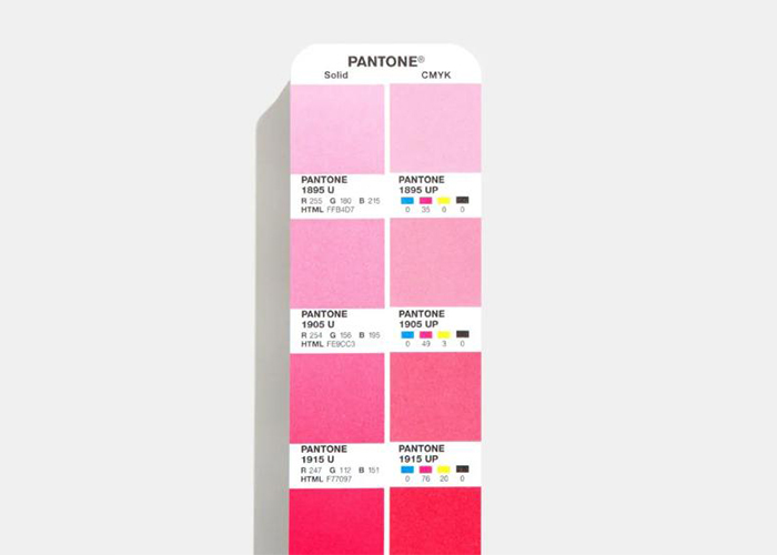 Pantone Kleur Chip