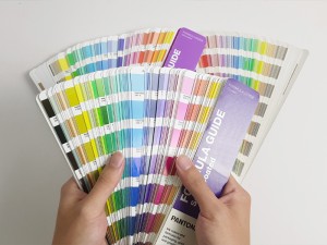 Pantone-kleurskyfie1