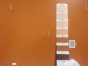 Pantone Awọ Chip2