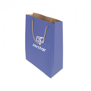 Paper Bag with Rope Handles