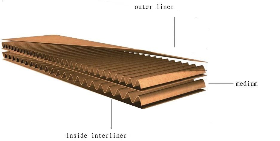 Tecnología de embalaje de papel5